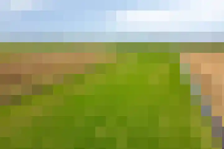 Vier Heultjes 214 Sprang-Capelle thumbnail 44
