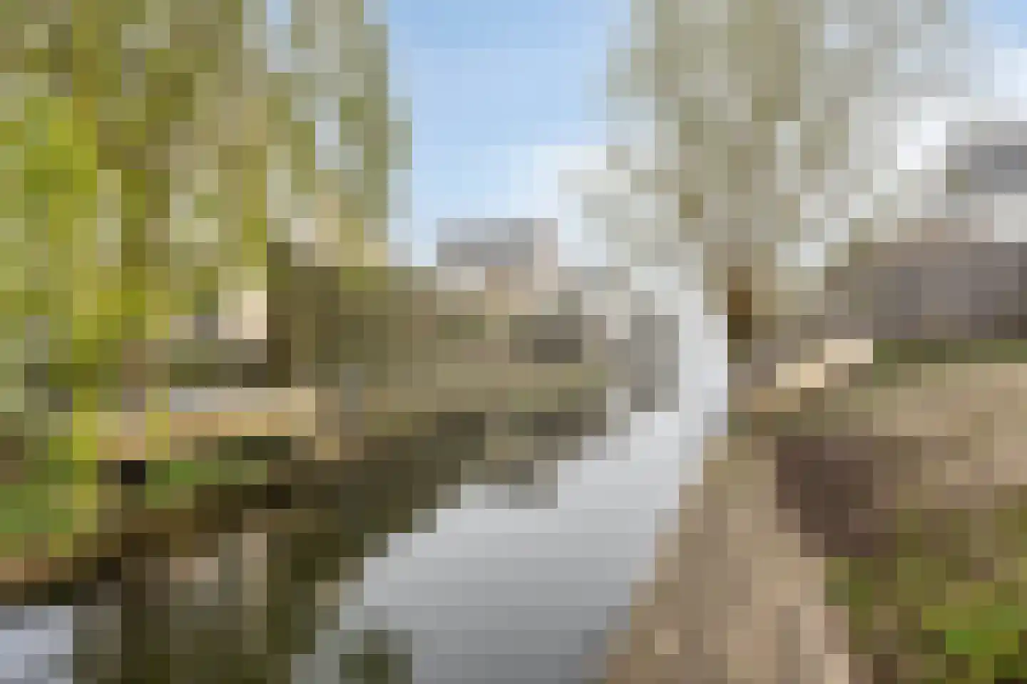 Vier Heultjes 30 Sprang-Capelle thumbnail 5