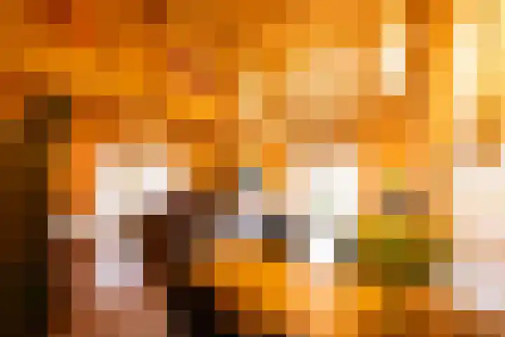Vier Heultjes 515 Sprang-Capelle thumbnail 12