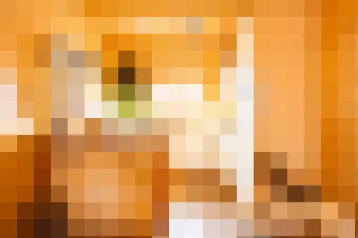 Vier Heultjes 515 Sprang-Capelle thumbnail 13