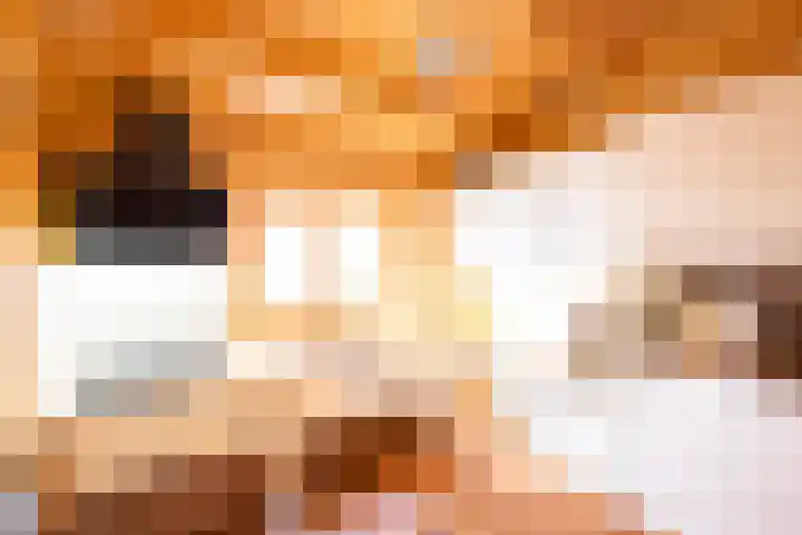 Vier Heultjes 515 Sprang-Capelle thumbnail 14