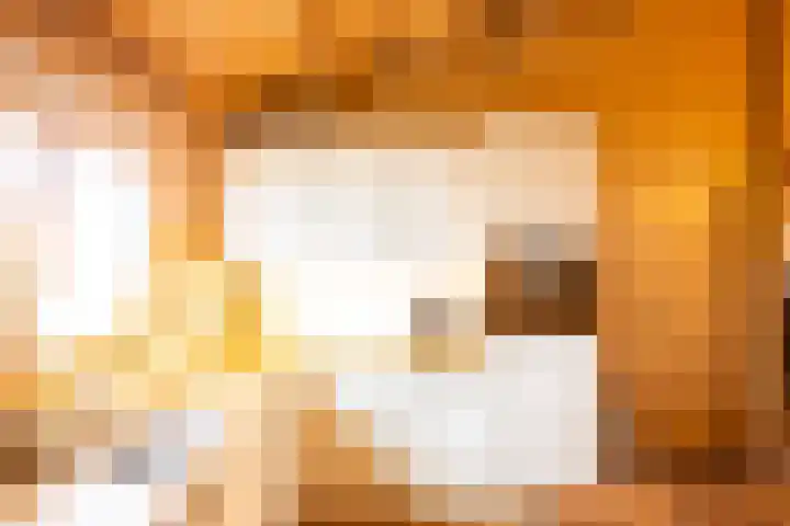 Vier Heultjes 515 Sprang-Capelle thumbnail 15
