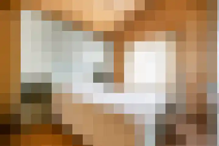 Vier Heultjes 515 Sprang-Capelle thumbnail 16