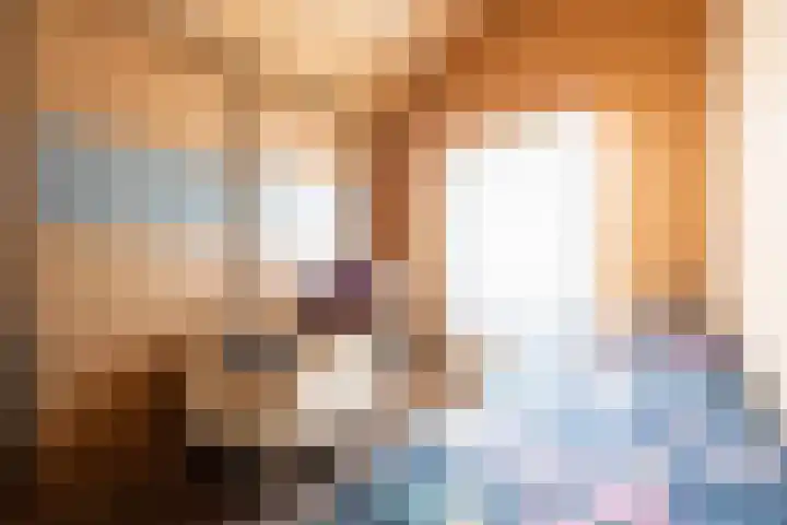 Vier Heultjes 515 Sprang-Capelle thumbnail 18