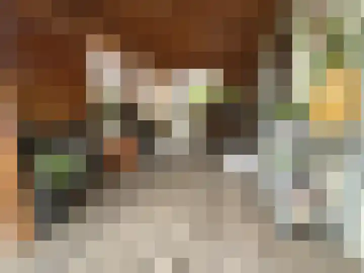 Vier Heultjes 515 Sprang-Capelle thumbnail 24