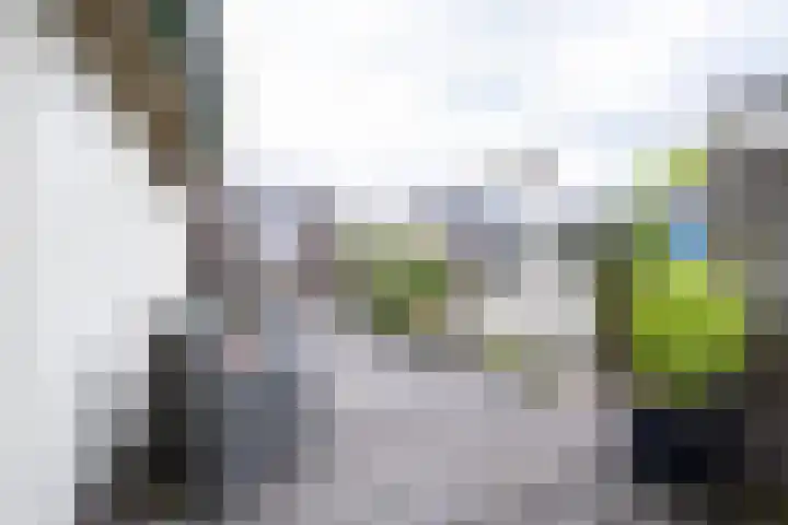 Vier Heultjes 515 Sprang-Capelle thumbnail 25