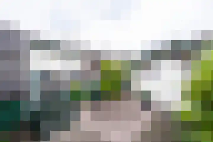 Vier Heultjes 515 Sprang-Capelle thumbnail 26