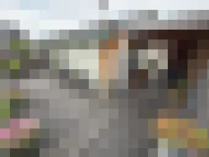 Vier Heultjes 515 Sprang-Capelle thumbnail 27