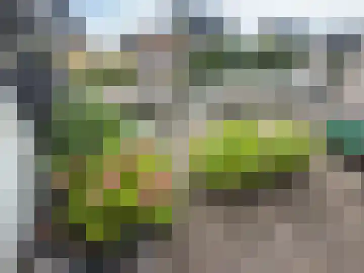 Vier Heultjes 515 Sprang-Capelle thumbnail 28