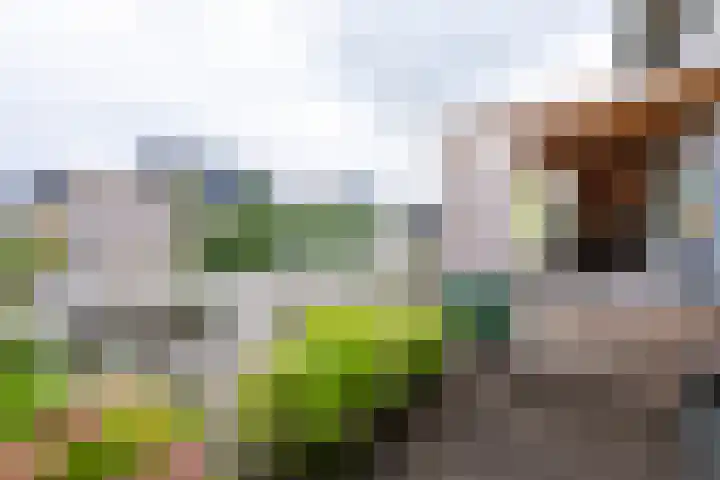 Vier Heultjes 515 Sprang-Capelle thumbnail 29