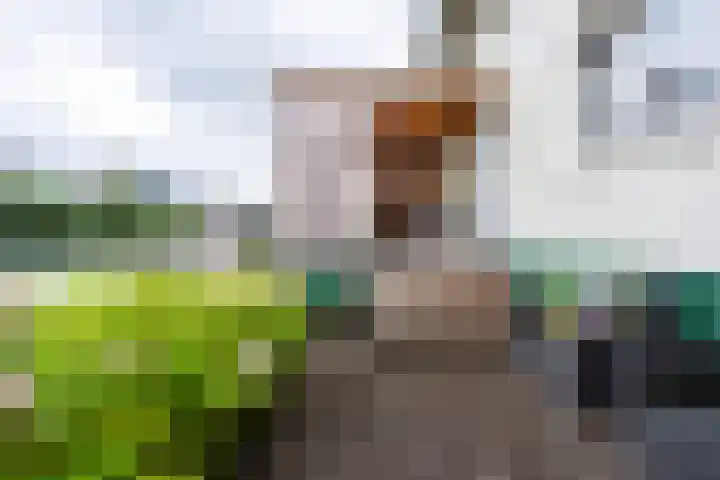 Vier Heultjes 515 Sprang-Capelle thumbnail 30