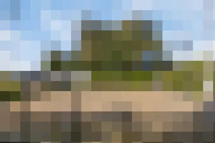Vier Heultjes 515 Sprang-Capelle thumbnail 31