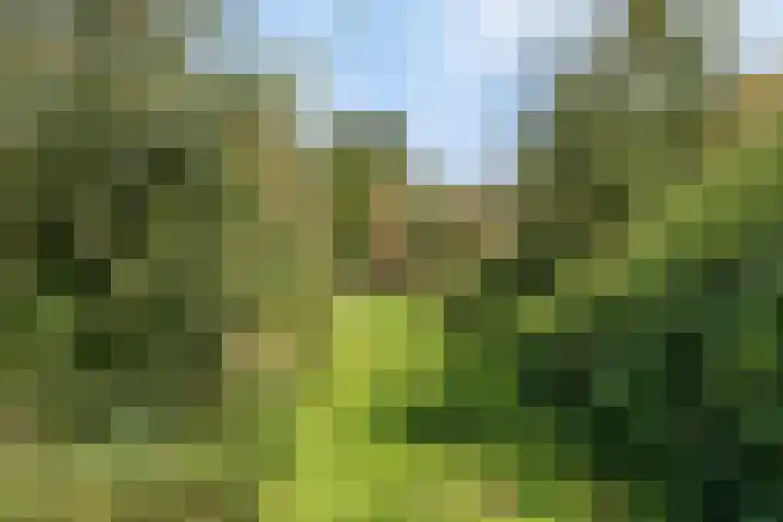 Vier Heultjes 515 Sprang-Capelle thumbnail 32