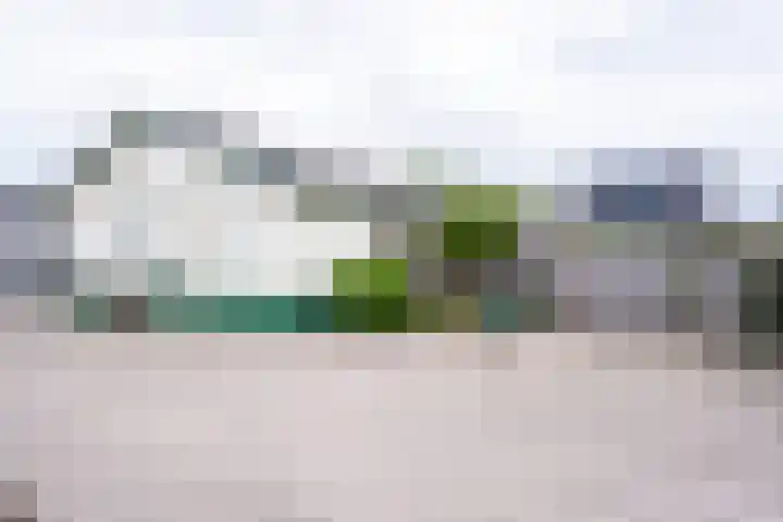 Vier Heultjes 515 Sprang-Capelle thumbnail 33