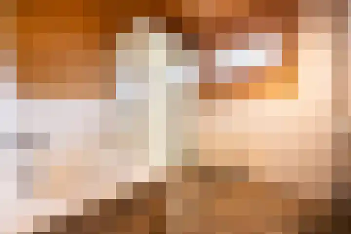Vier Heultjes 515 Sprang-Capelle thumbnail 5