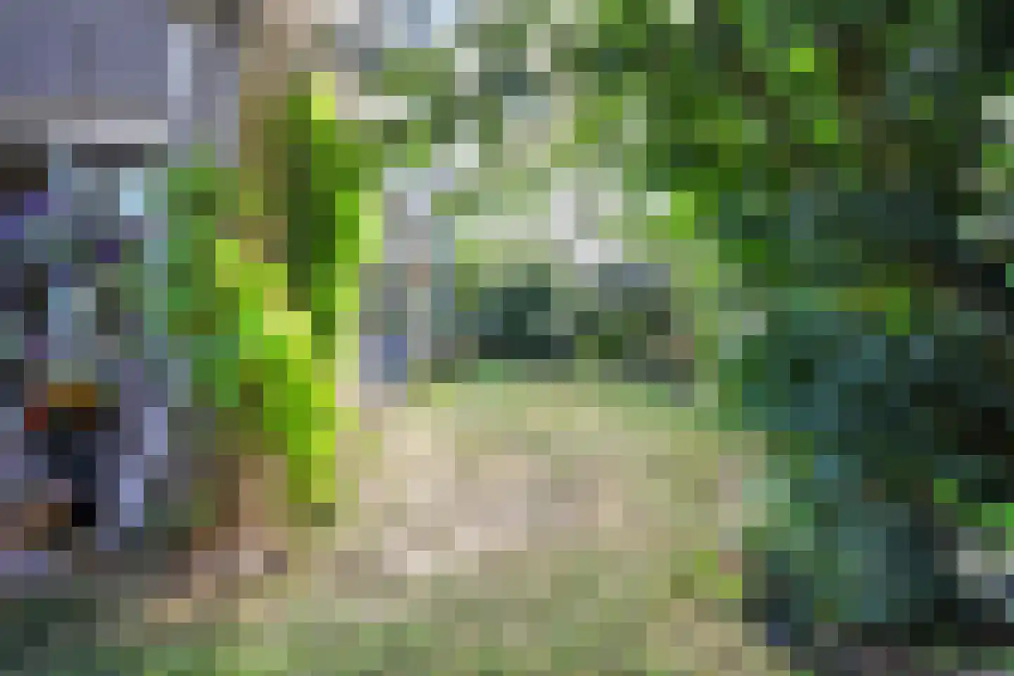 Vier Heultjes 64 Sprang-Capelle thumbnail 51