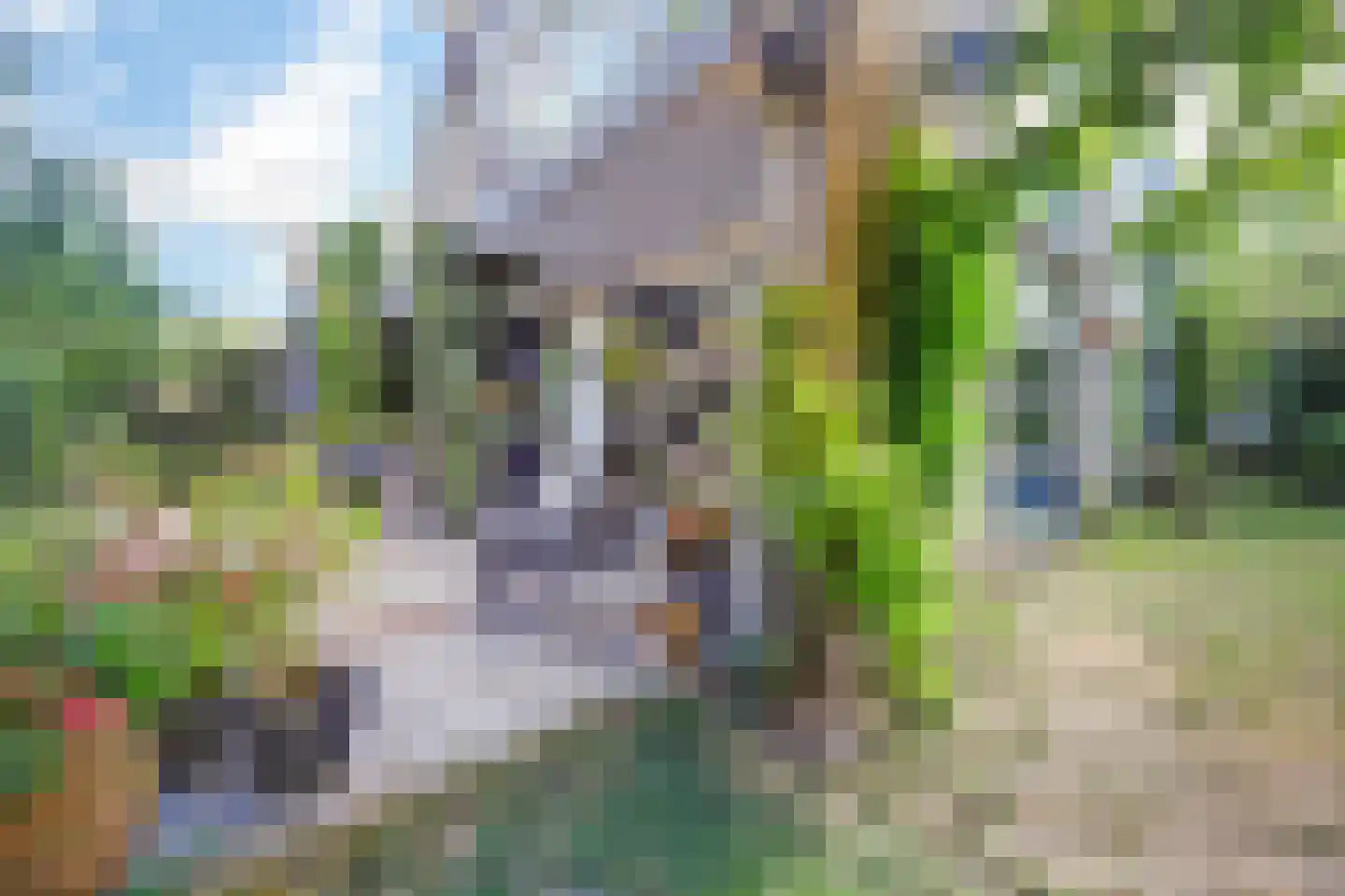 Vier Heultjes 64 Sprang-Capelle thumbnail 52
