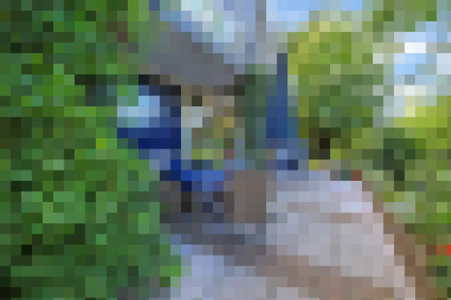 Vier Heultjes 64 Sprang-Capelle thumbnail 54