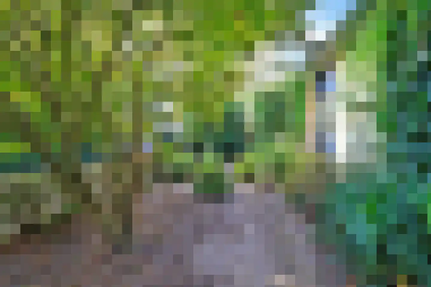 Vier Heultjes 64 Sprang-Capelle thumbnail 58