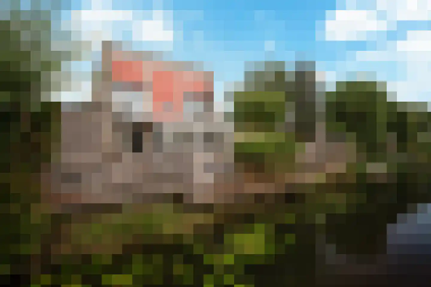 Vier Heultjes 66 Sprang-Capelle foto 2