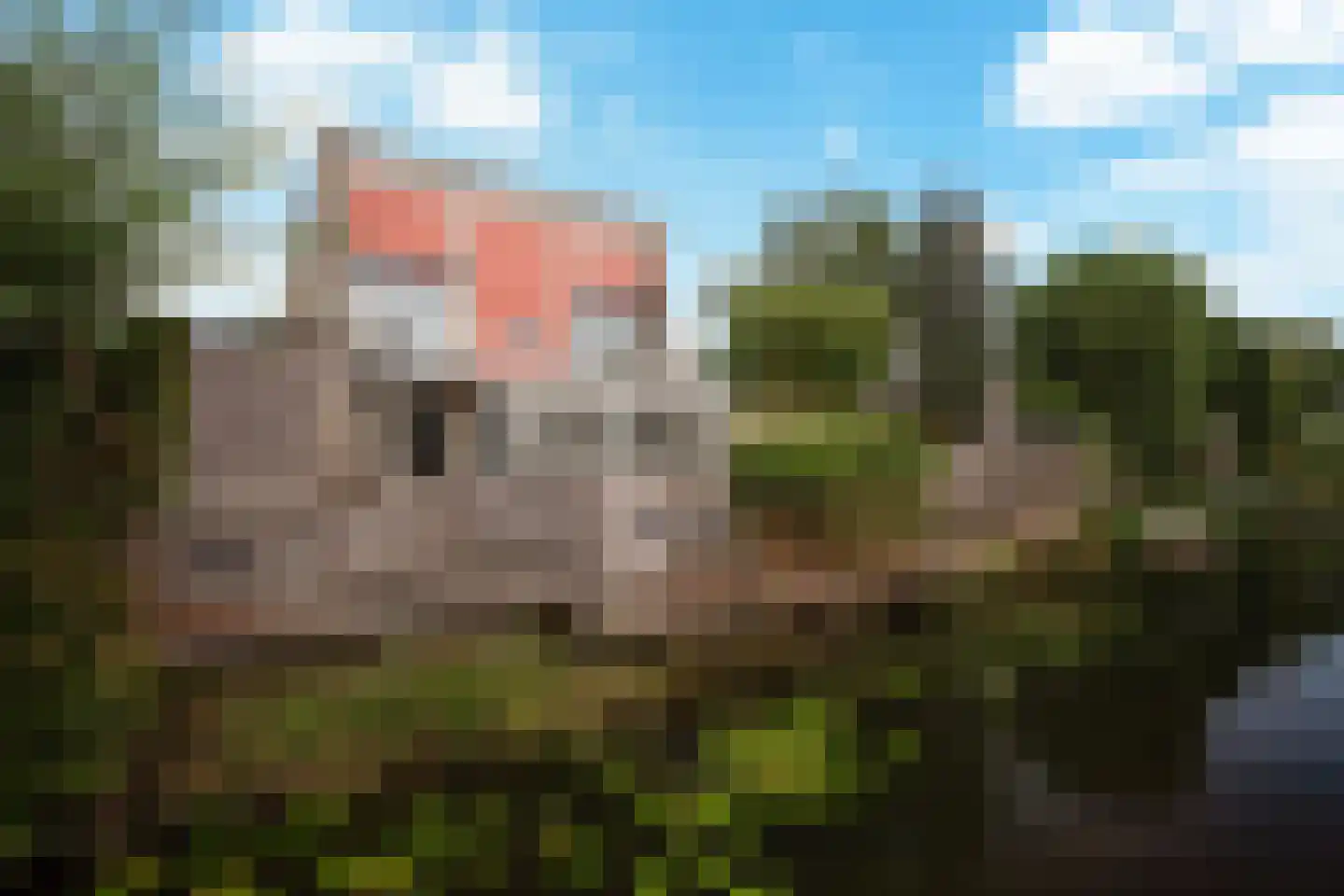 Vier Heultjes 66 Sprang-Capelle thumbnail 34