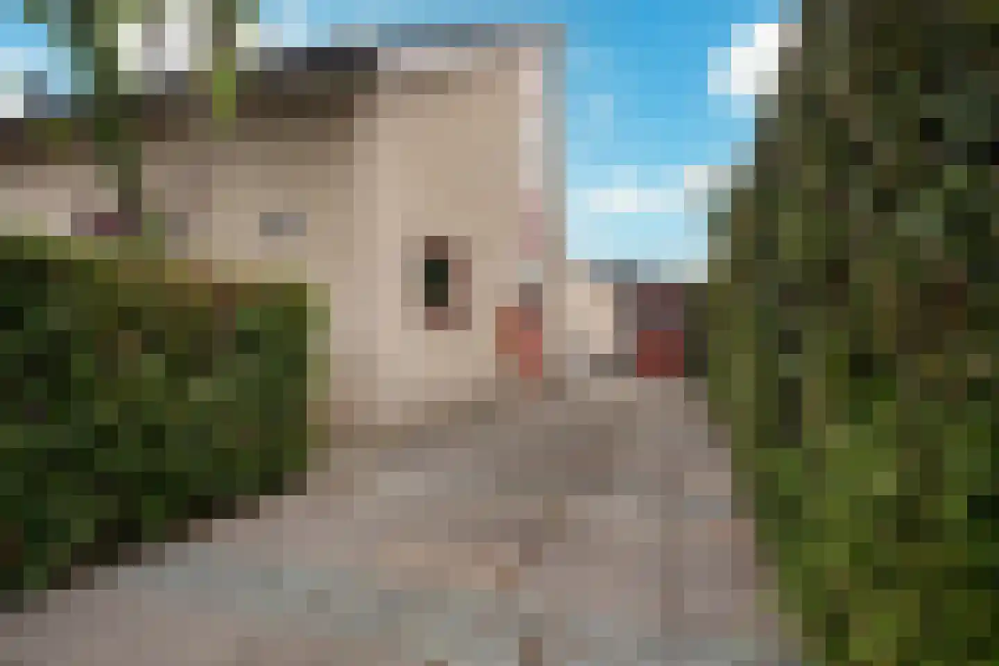 Vier Heultjes 66 Sprang-Capelle thumbnail 9