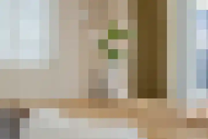 Vier Heultjes 716 Sprang-Capelle thumbnail 10
