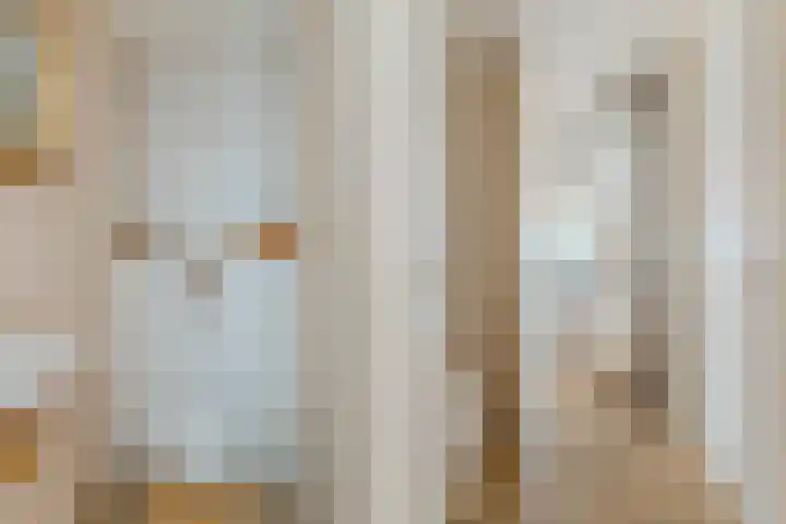 Vier Heultjes 716 Sprang-Capelle thumbnail 15