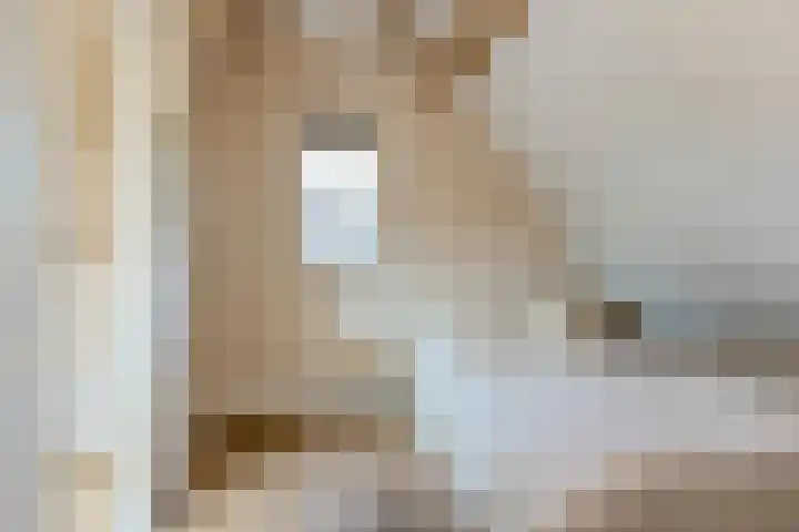 Vier Heultjes 716 Sprang-Capelle thumbnail 17