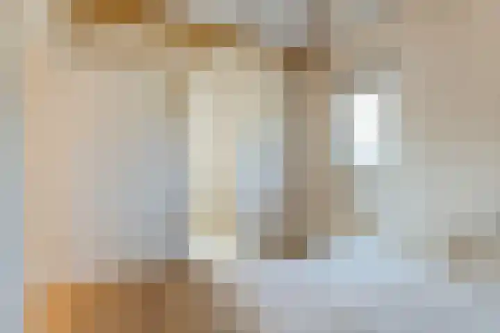 Vier Heultjes 716 Sprang-Capelle thumbnail 18