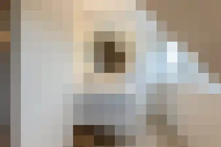 Vier Heultjes 716 Sprang-Capelle thumbnail 20