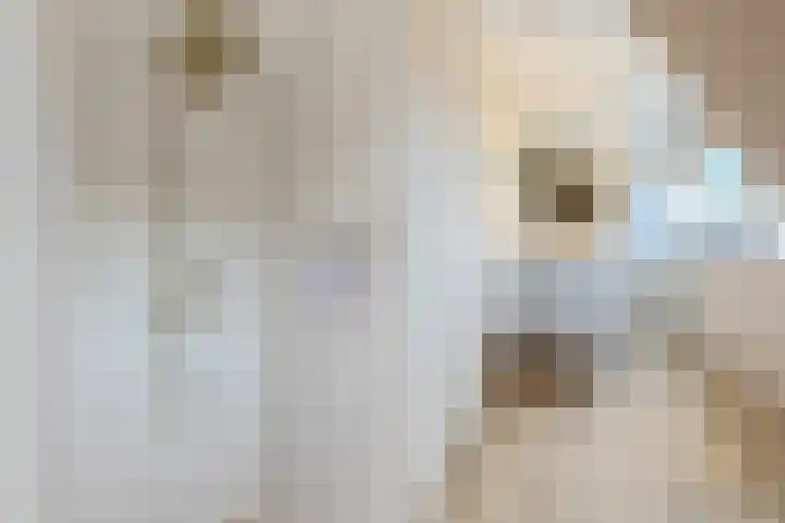 Vier Heultjes 716 Sprang-Capelle thumbnail 21
