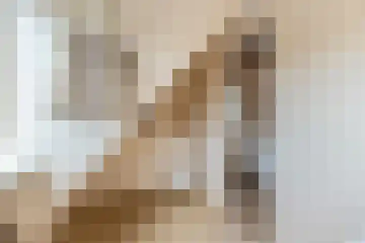 Vier Heultjes 716 Sprang-Capelle thumbnail 22