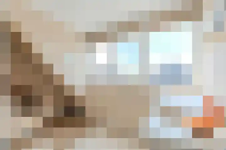 Vier Heultjes 716 Sprang-Capelle thumbnail 24