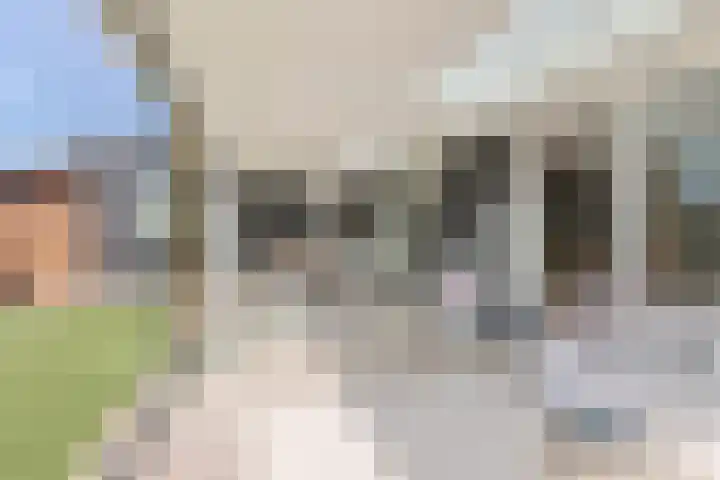 Vier Heultjes 716 Sprang-Capelle thumbnail 28