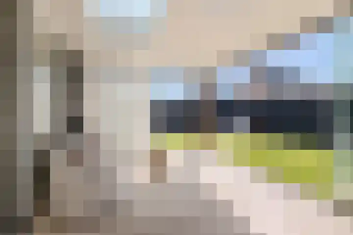 Vier Heultjes 716 Sprang-Capelle thumbnail 34