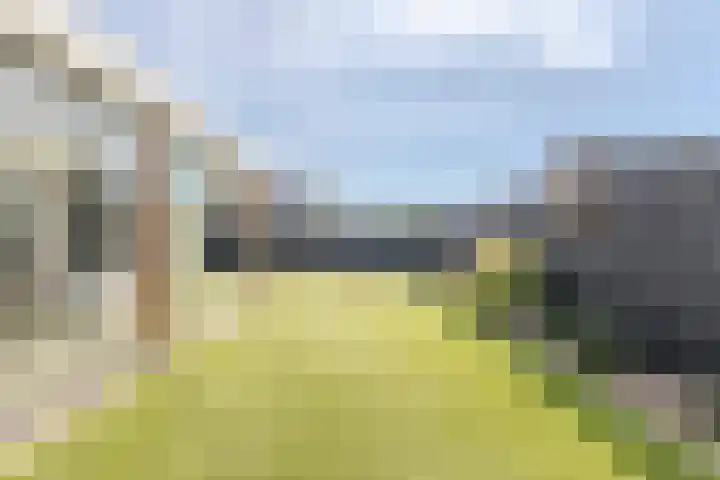 Vier Heultjes 716 Sprang-Capelle thumbnail 35