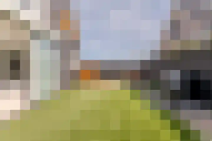 Vier Heultjes 716 Sprang-Capelle thumbnail 36