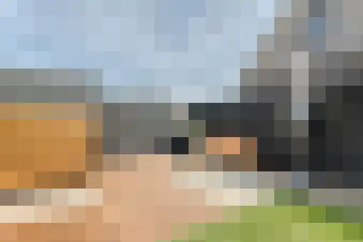 Vier Heultjes 716 Sprang-Capelle thumbnail 37