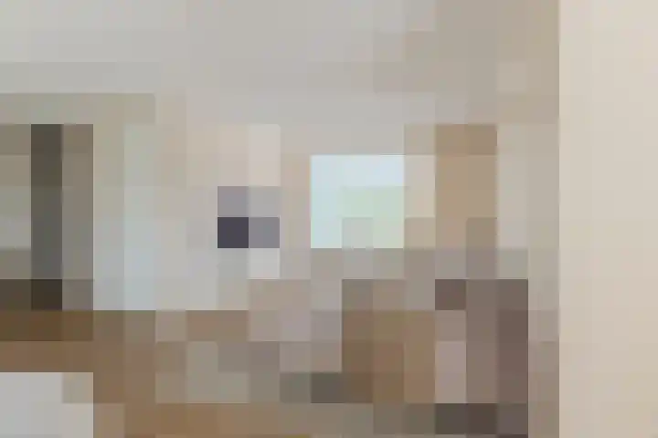 Vier Heultjes 716 Sprang-Capelle thumbnail 4
