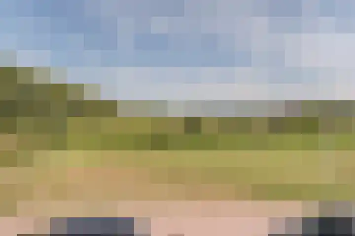 Vier Heultjes 716 Sprang-Capelle thumbnail 42