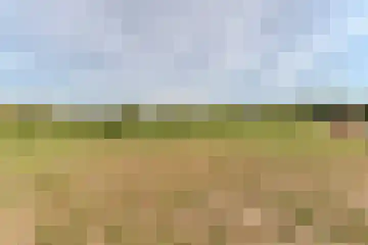 Vier Heultjes 716 Sprang-Capelle thumbnail 43