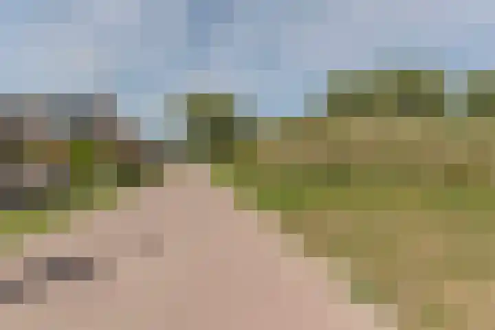 Vier Heultjes 716 Sprang-Capelle thumbnail 44