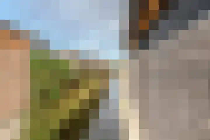 Vier Heultjes 716 Sprang-Capelle thumbnail 46