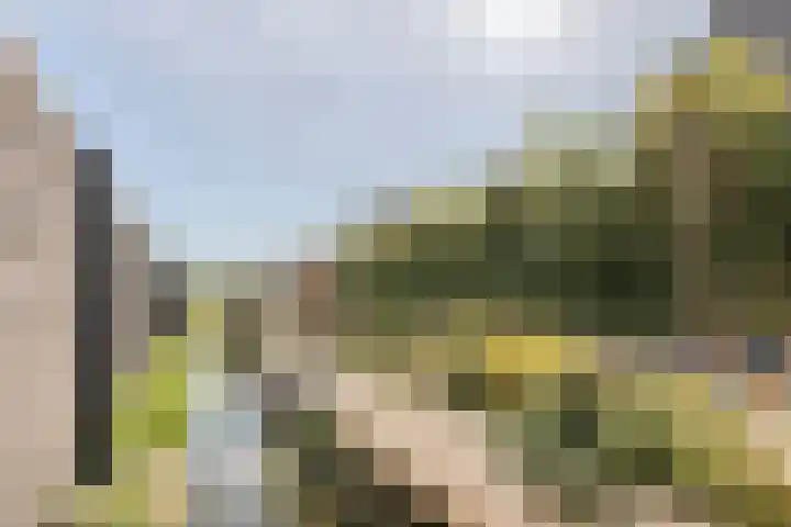 Vier Heultjes 716 Sprang-Capelle thumbnail 47