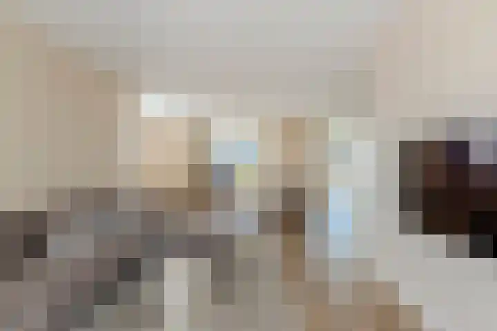 Vier Heultjes 716 Sprang-Capelle thumbnail 5