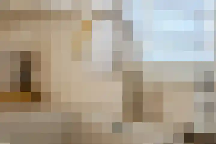 Vier Heultjes 716 Sprang-Capelle thumbnail 8
