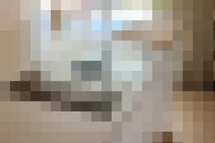 Vier Heultjes 716 Sprang-Capelle thumbnail 9