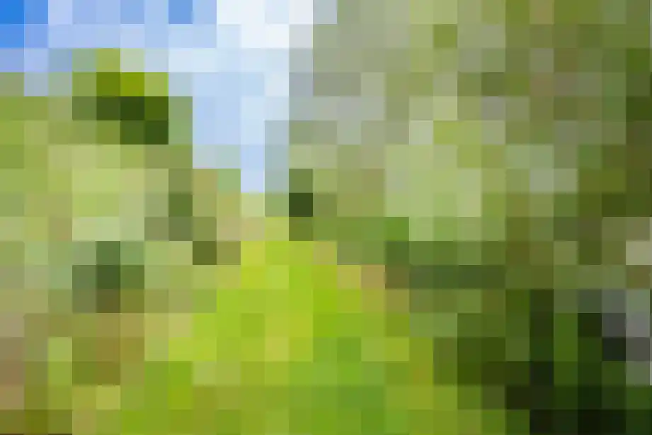 Vier Heultjes 72 Sprang-Capelle thumbnail 38