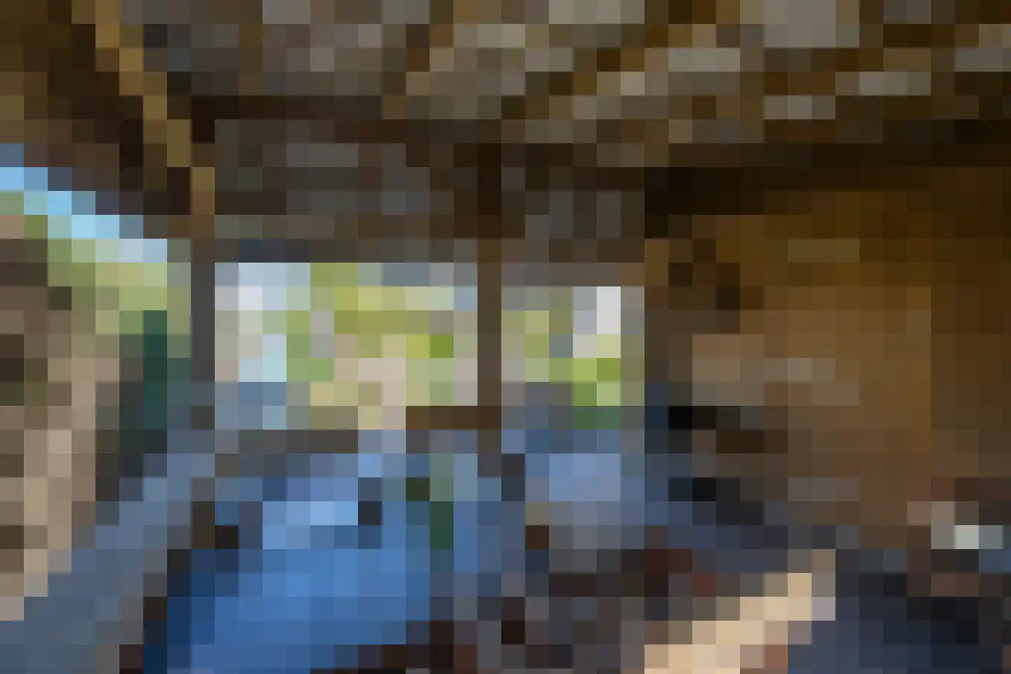 Vier Heultjes 72 Sprang-Capelle thumbnail 5